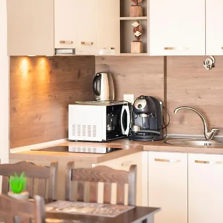 公寓 Sveti Vlas Apartments *